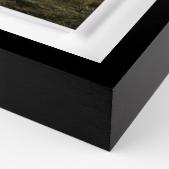 Camp Sunrise/Joshua Tree by Wesley and Emma Teague — Black 2.5 Maple