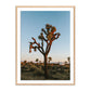 Camp Sunrise/Joshua Tree by Wesley and Emma Teague — Vertical Grain 2.5 White Oak