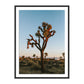 Camp Sunrise/Joshua Tree by Wesley and Emma Teague — Black 1.5 Maple