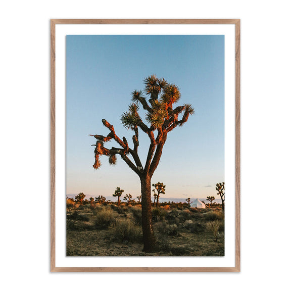 Camp Sunrise/Joshua Tree by Wesley and Emma Teague — Rustic 1.5 Walnut