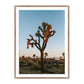 Camp Sunrise/Joshua Tree by Wesley and Emma Teague — Rustic 2.5 Walnut