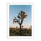 Camp Sunrise/Joshua Tree by Wesley and Emma Teague — White 1.5 Maple