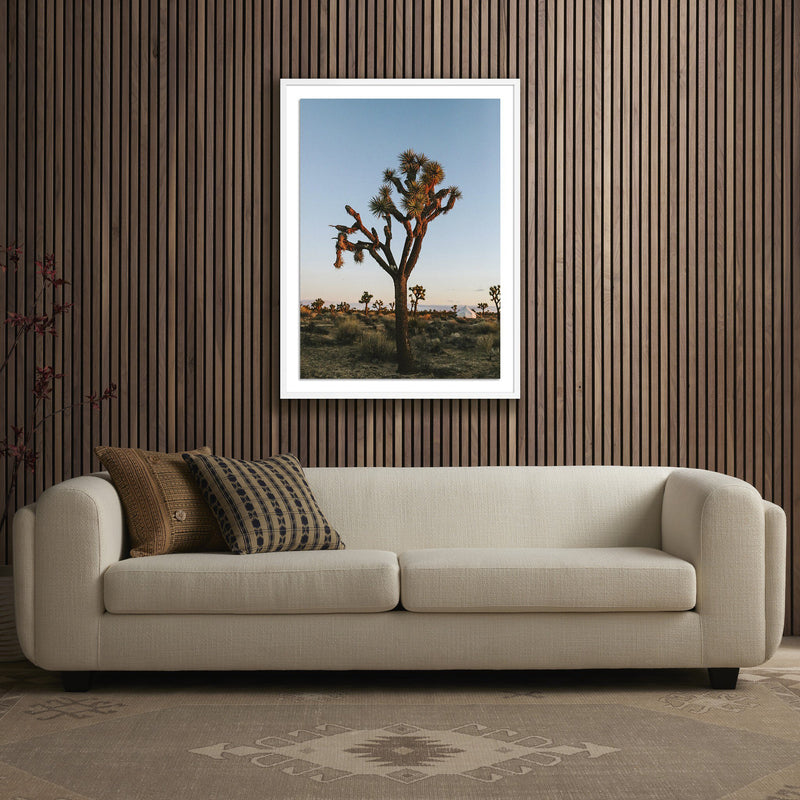 Camp Sunrise/Joshua Tree by Wesley and Emma Teague — White 2.5 Maple