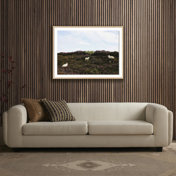 Sheep In Heather by Wesley and Emma Teague - White Oak