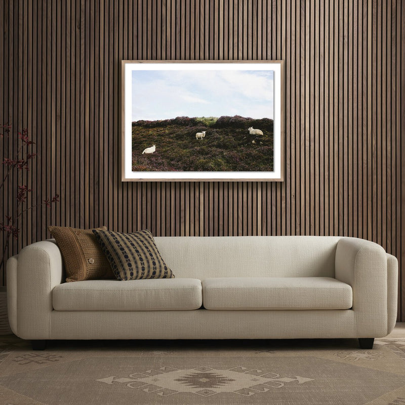 Sheep In Heather by Wesley and Emma Teague - Rustic Walnut