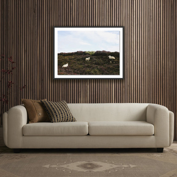 Sheep In Heather by Wesley and Emma Teague - Black Maple