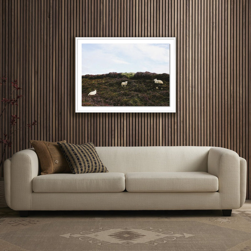 Sheep In Heather by Wesley and Emma Teague - White Maple