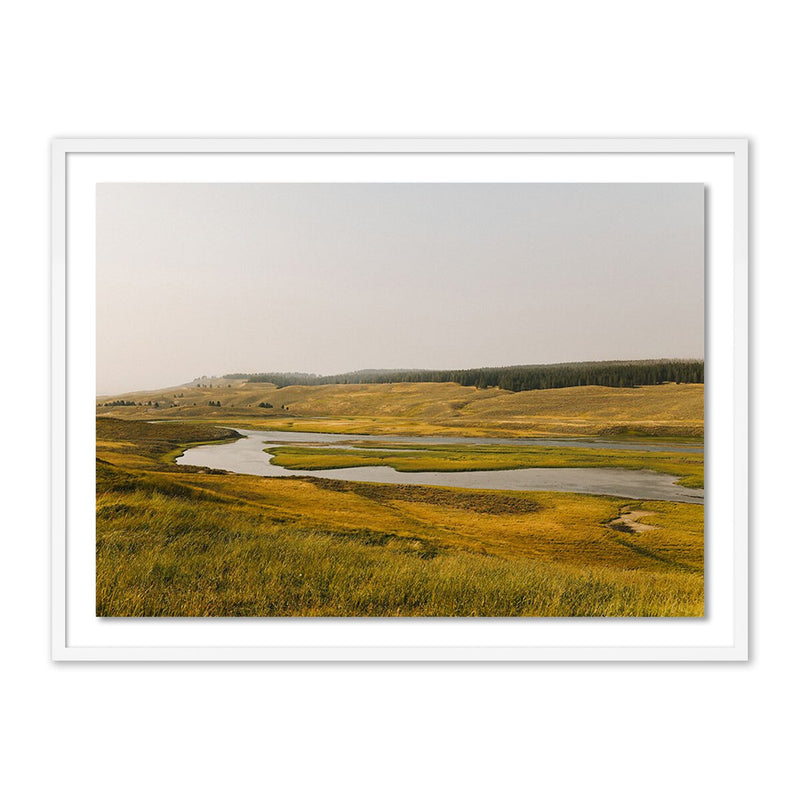 Where The Buffalo Roam by Wesley and Emma Teague - White Maple
