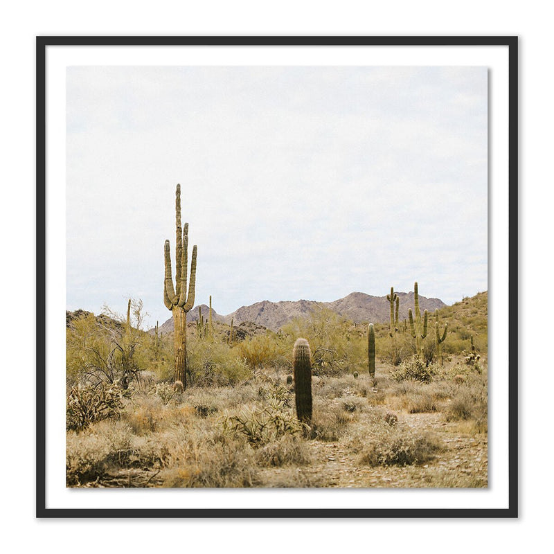 High Desert by Wesley and Emma Teague - Black Maple