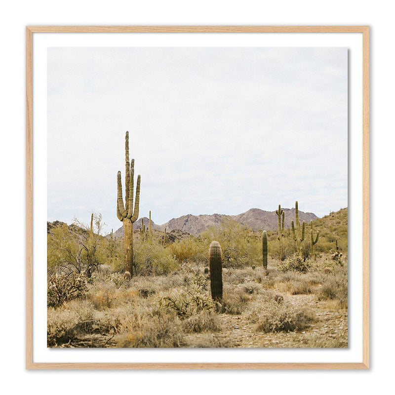 High Desert by Wesley and Emma Teague - White Oak