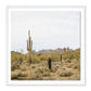 High Desert by Wesley and Emma Teague - White Maple