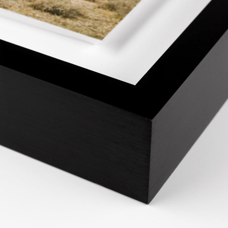 High Desert by Wesley and Emma Teague - Black Maple
