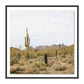 High Desert by Wesley and Emma Teague - Black Maple