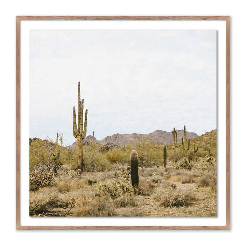 High Desert by Wesley and Emma Teague - Rustic Walnut