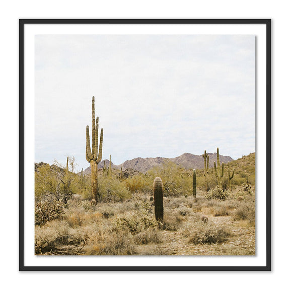 High Desert by Wesley and Emma Teague - Black Maple