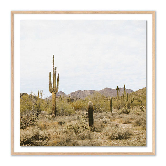 High Desert by Wesley and Emma Teague - White Oak