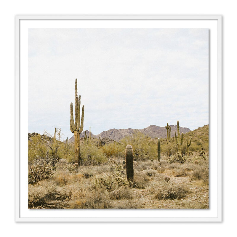 High Desert by Wesley and Emma Teague - White Maple