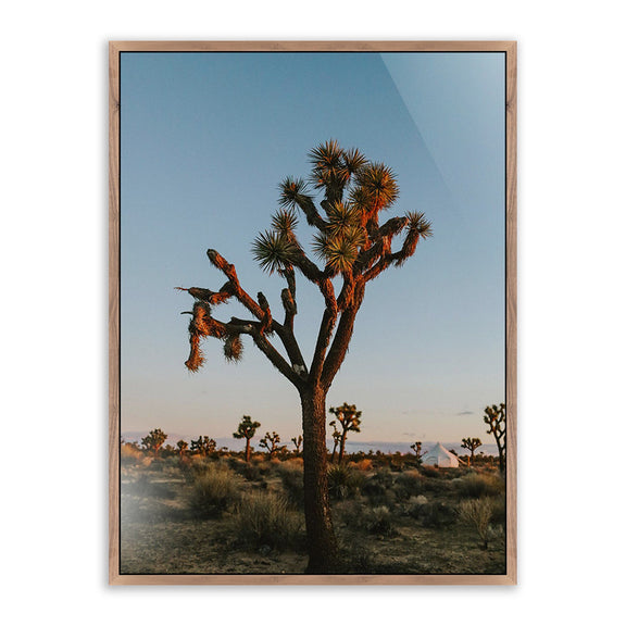 Camp Sunrise/Joshua Tree by Wesley and Emma Teague — Rustic Walnut Floater