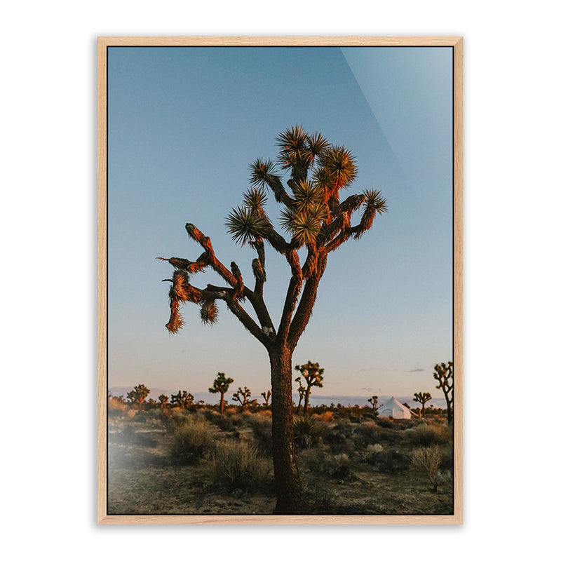 Camp Sunrise/Joshua Tree by Wesley and Emma Teague — Vertical Grain White Oak Floater