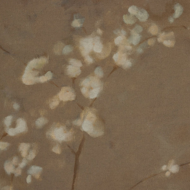 Sakura by Jess Engle - Rustic Walnut