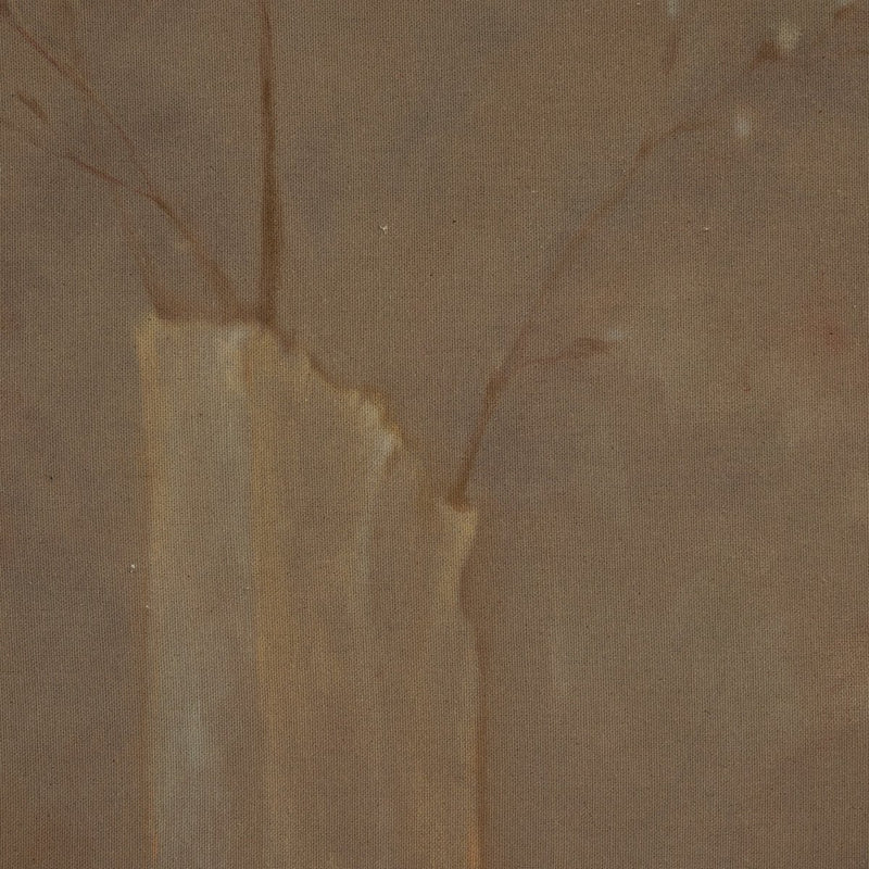 Sakura by Jess Engle - Rustic Walnut