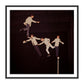 The Beatles Rehearse by Getty Images - Black Maple