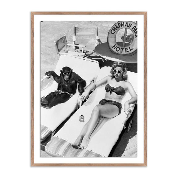 Woman Sunbathing With Chimpanzee	by Getty Images - Rustic Walnut