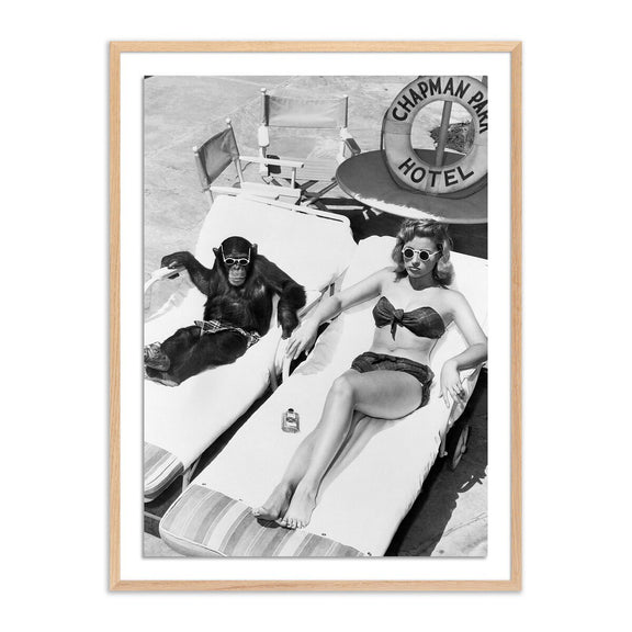 Woman Sunbathing With Chimpanzee	by Getty Images - White Oak