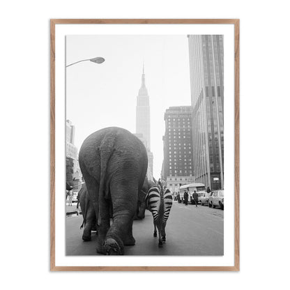 Circus Animals On 33Rd St by Getty Images - Rustic Walnut