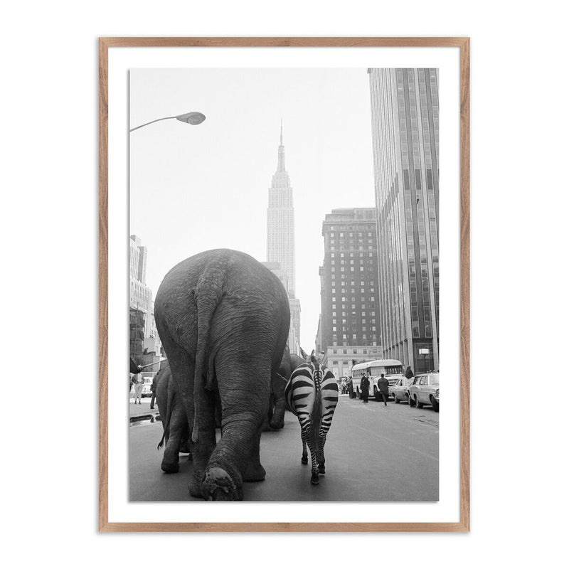 Circus Animals On 33Rd St by Getty Images - Rustic Walnut
