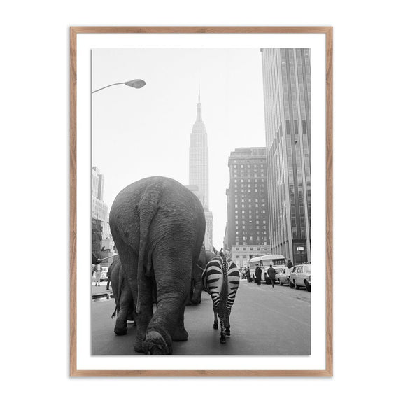 Circus Animals On 33Rd St by Getty Images - Rustic Walnut