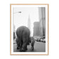 Circus Animals On 33Rd St by Getty Images - White Oak