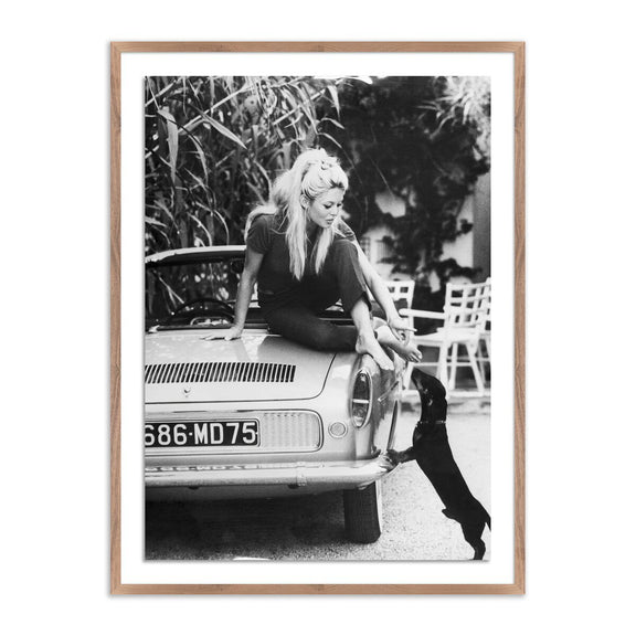 Brigitte Bardot With Dashchund	by Getty Images - Rustic Walnut