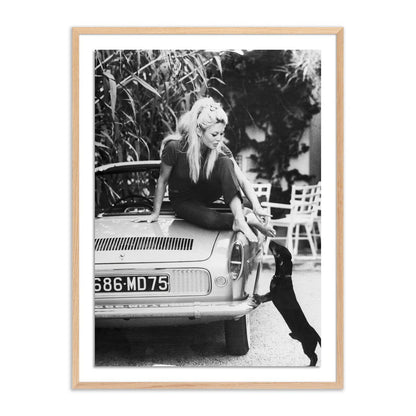 Brigitte Bardot With Dashchund	by Getty Images - White Oak