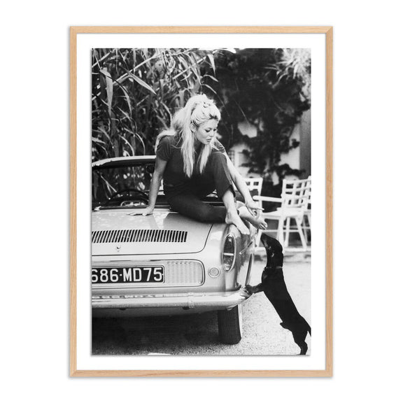Brigitte Bardot With Dashchund	by Getty Images - White Oak