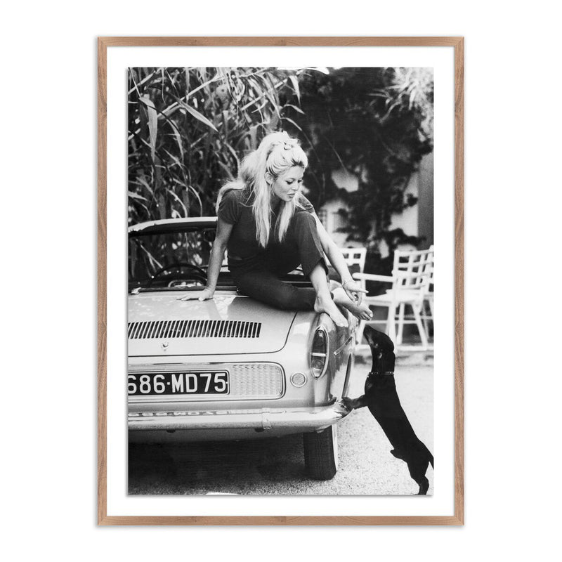 Brigitte Bardot With Dashchund	by Getty Images - Rustic Walnut