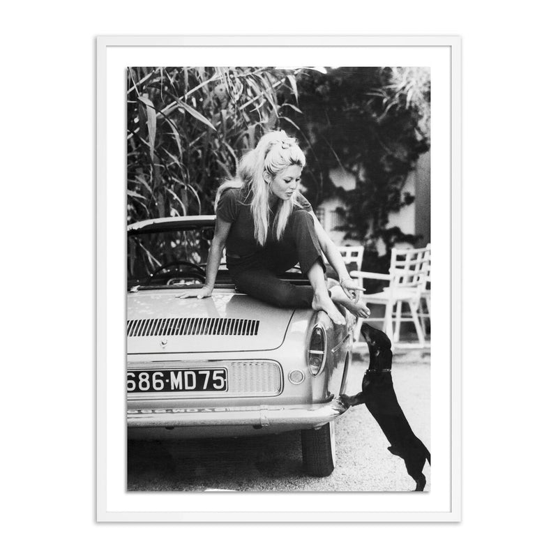 Brigitte Bardot With Dashchund	by Getty Images - White Maple
