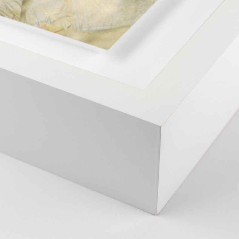 Entertain The Thought, No.05 - White Maple