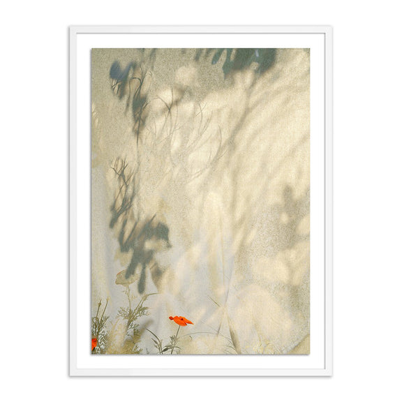 Entertain The Thought, No.05 - White Maple
