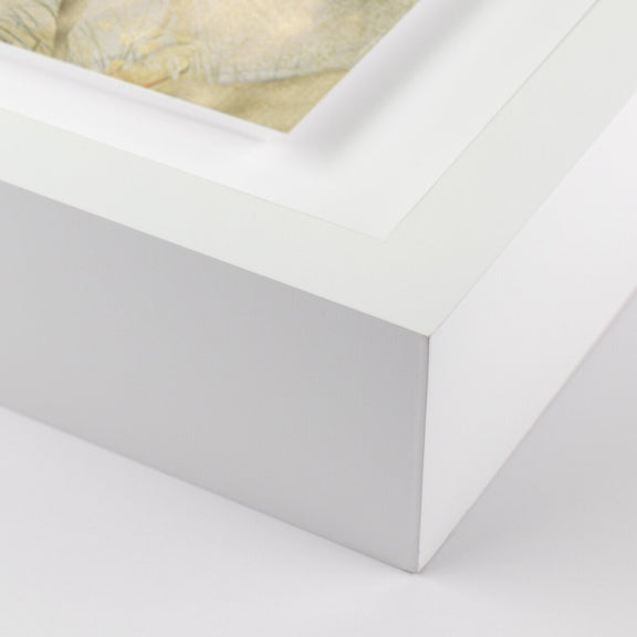 Entertain The Thought, No.05 - White Maple