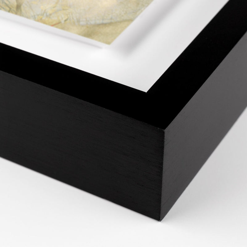 Entertain The Thought, No.05 - Black Maple