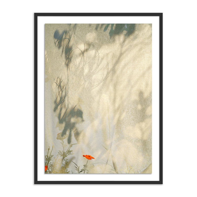 Entertain The Thought, No.05 - Black Maple