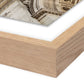 Arc De Triumphe by Guy Sargent — Vertical Grain 2.5 White Oak
