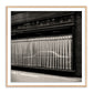 Cecconis by Guy Sargent — Vertical Grain 2.5 White Oak