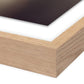 Foggy Dream I by Coup d'Esprit - White Oak