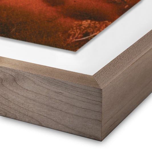 Glowing Saguaro by Coup d'Esprit — Rustic 1.5 Walnut