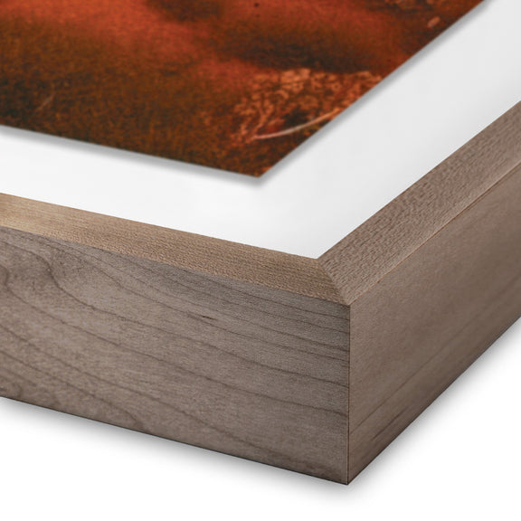 Glowing Saguaro by Coup d'Esprit — Rustic 1.5 Walnut