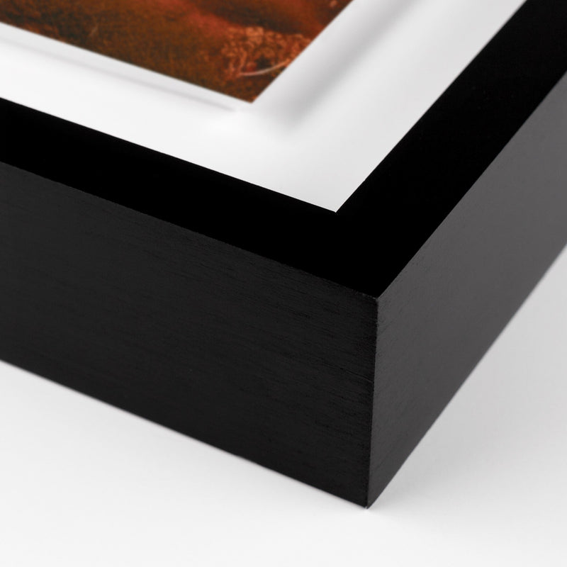 Glowing Saguaro by Coup d'Esprit — Black 2.5 Maple
