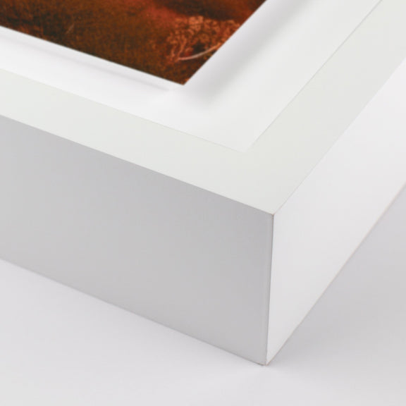 Glowing Saguaro by Coup d'Esprit — White 2.5 Maple