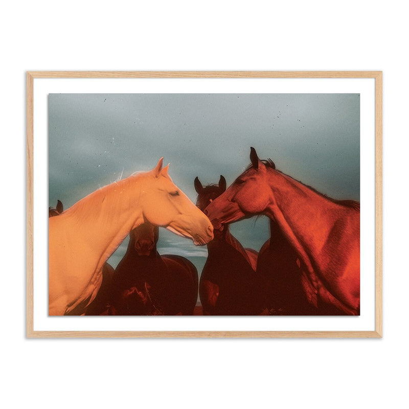 Sunset Horses by Coup d'Esprit - White Oak